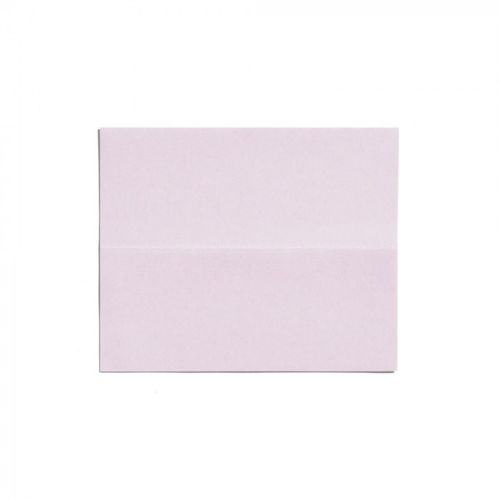 THE ESSENTIALS OIL CONTROL BLOTTING PAPER 100 SHEETS