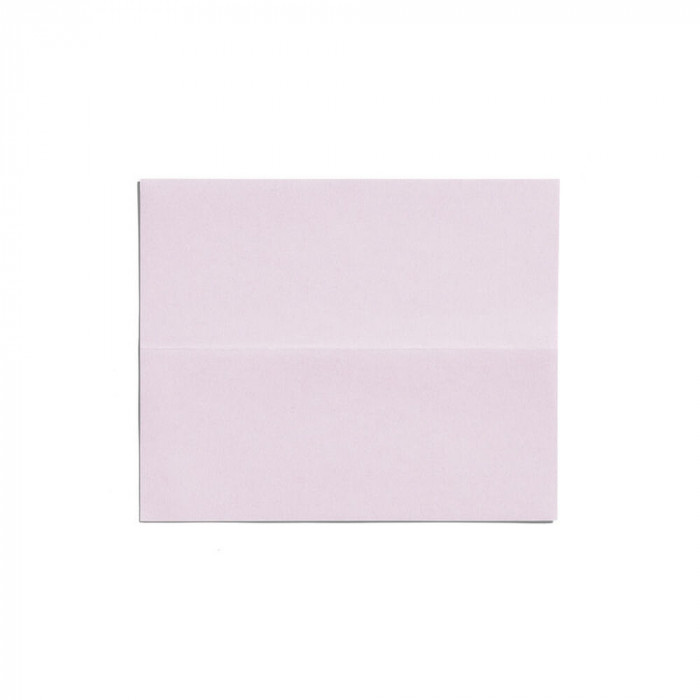 THE ESSENTIALS OIL CONTROL BLOTTING PAPER 100 SHEETS