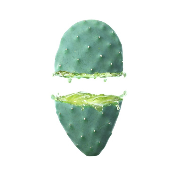 CACTUS OPUNTIA 24H HYDRALOTION HIDRATACIÓN Y FRESCURA 30 ML