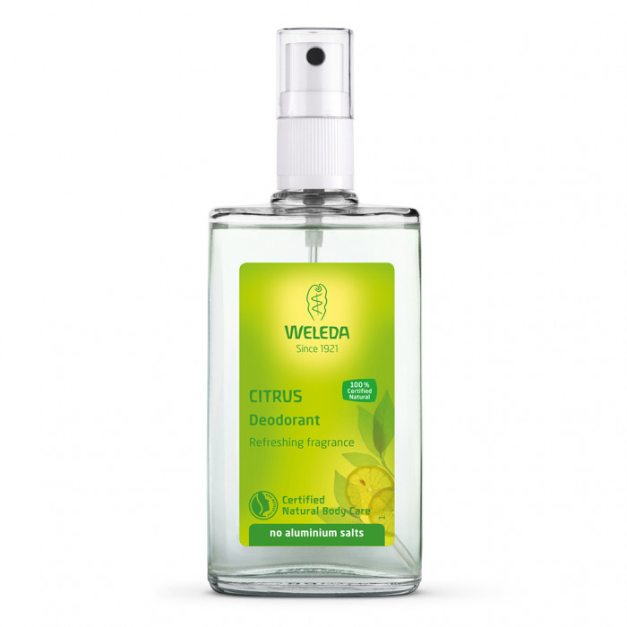 CITRUS DESODORANTE 24H EFICACIA SPRAY 100 ML