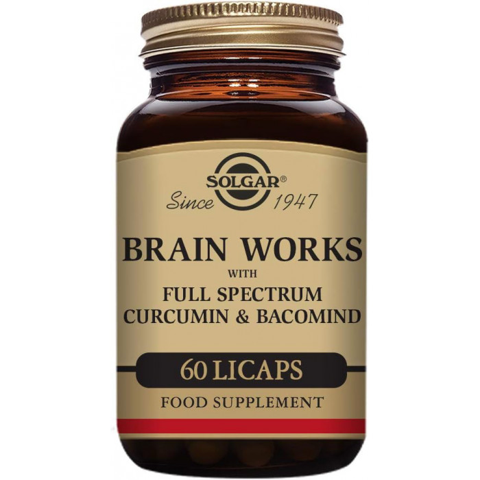 SOLGAR BRAIN WORKS(60)COMPRIMIDOS