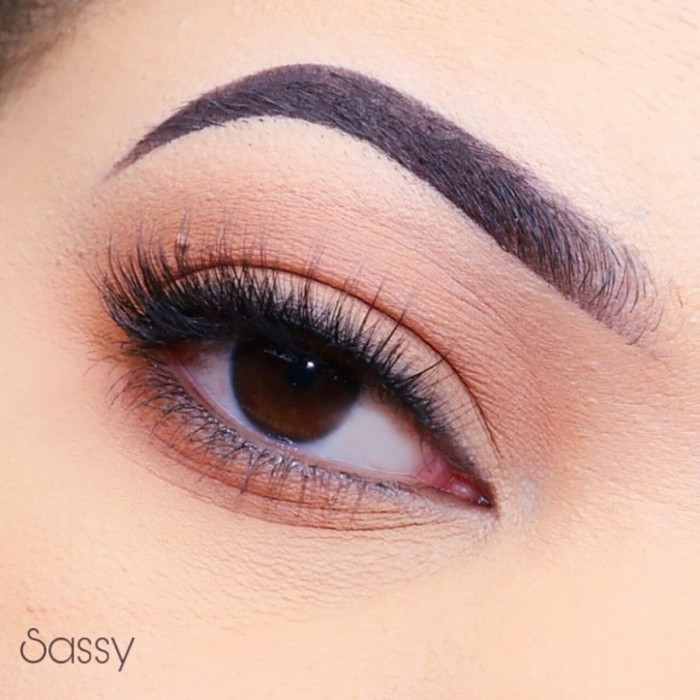 3D FAUX MINK LASHES - SASSY