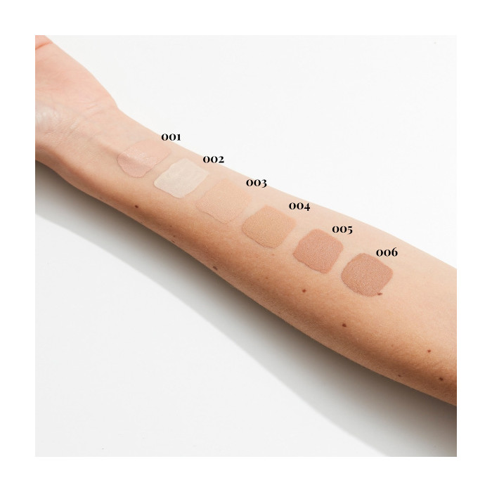 CONCEALER HIGH COVERAGE 006-HONEY 5,5 ML