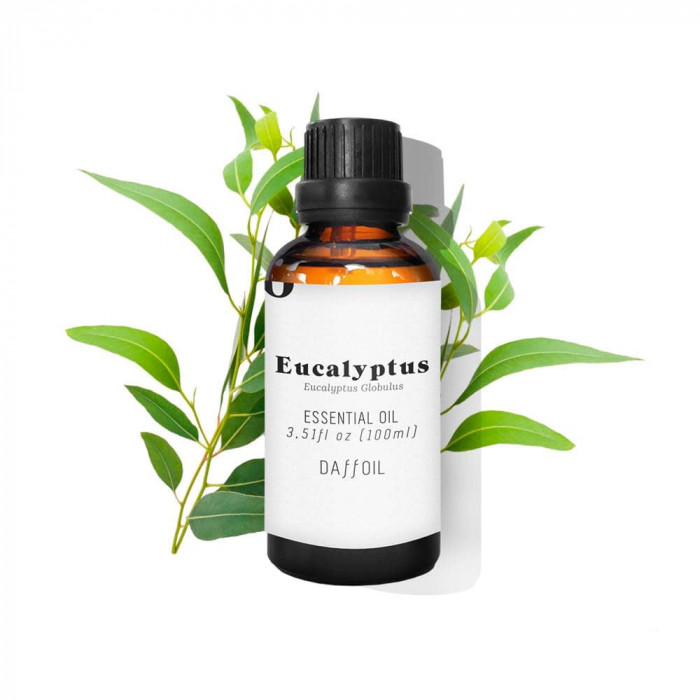 EUCALYPTUS ESSENTIAL OIL 100 ML