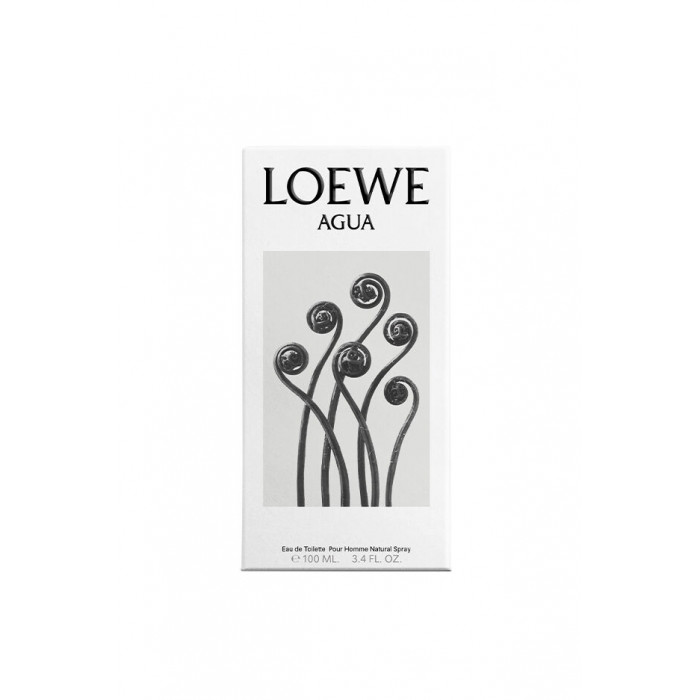 AGUA DE LOEWE EDT VAPO 100 ML