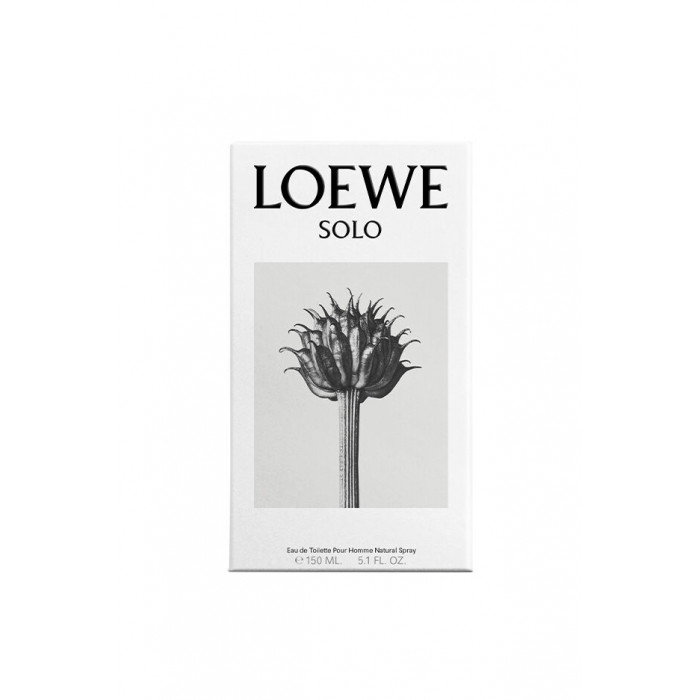 SOLO LOEWE ET 150 VP